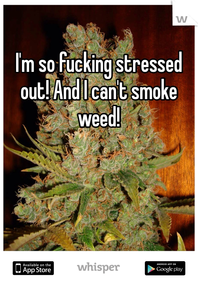 I'm so fucking stressed out! And I can't smoke weed! 