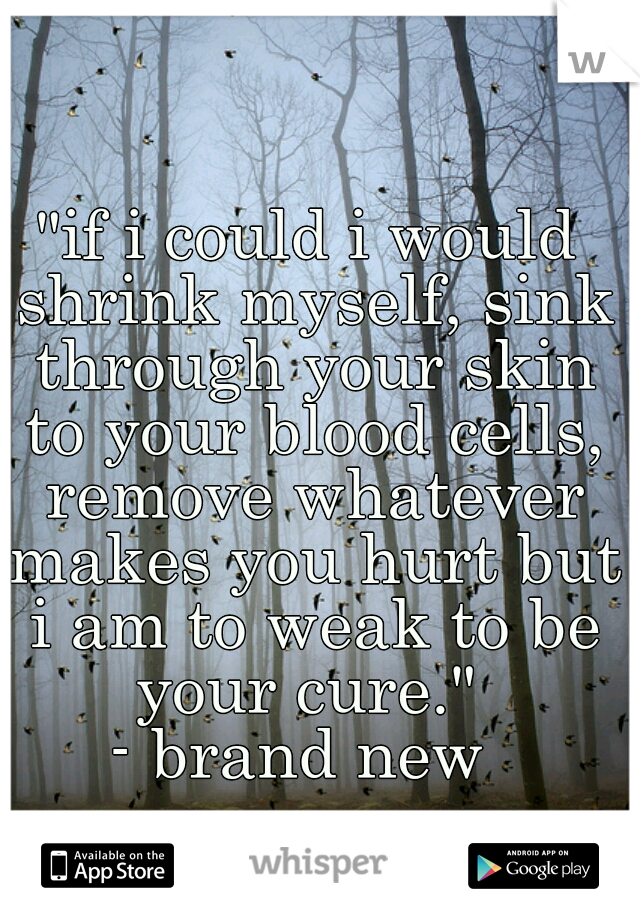 "if i could i would shrink myself, sink through your skin to your blood cells, remove whatever makes you hurt but i am to weak to be your cure." 
- brand new 