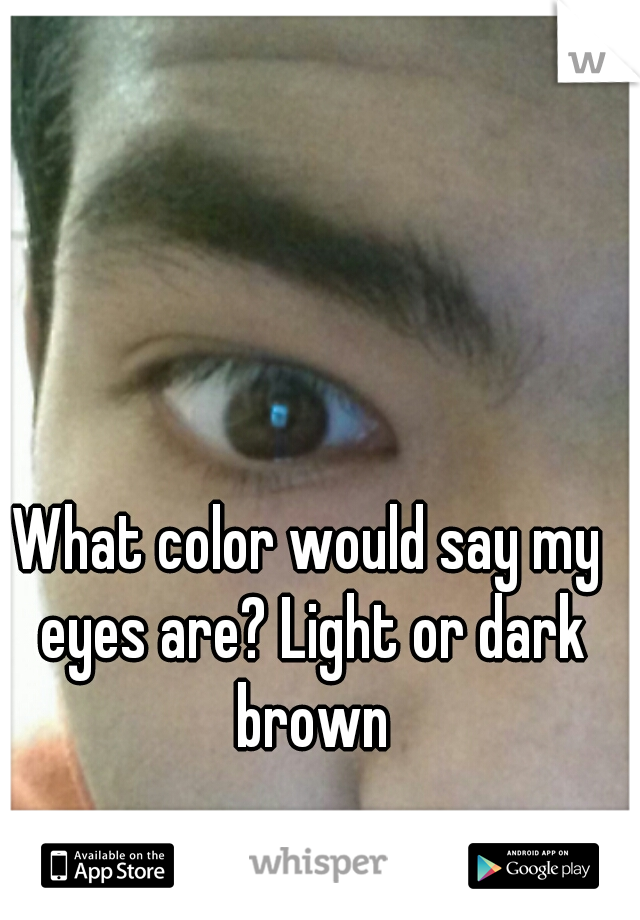 What color would say my eyes are? Light or dark brown