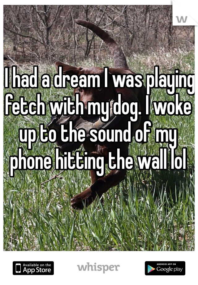  I had a dream I was playing fetch with my dog. I woke up to the sound of my phone hitting the wall lol