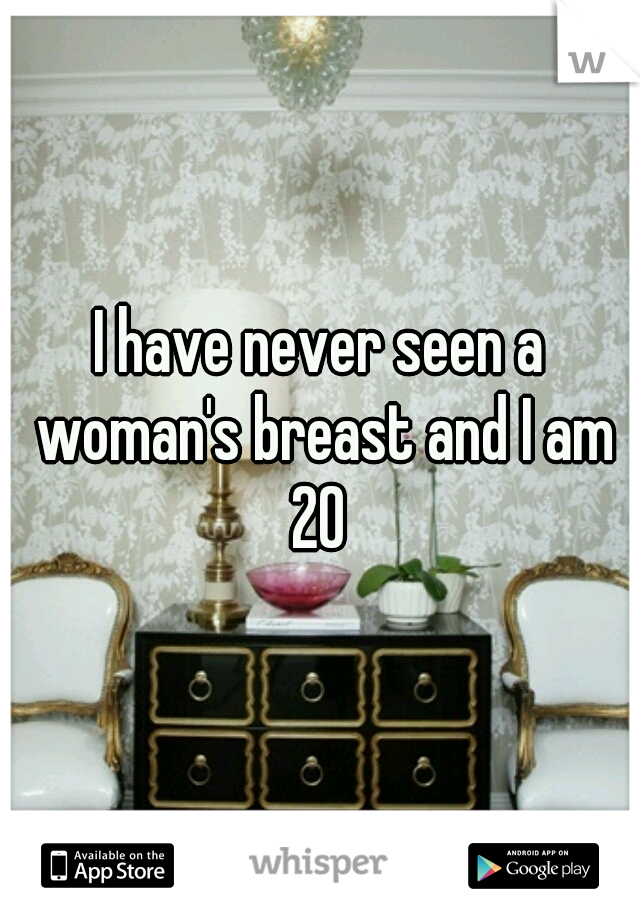 I have never seen a woman's breast and I am 20 