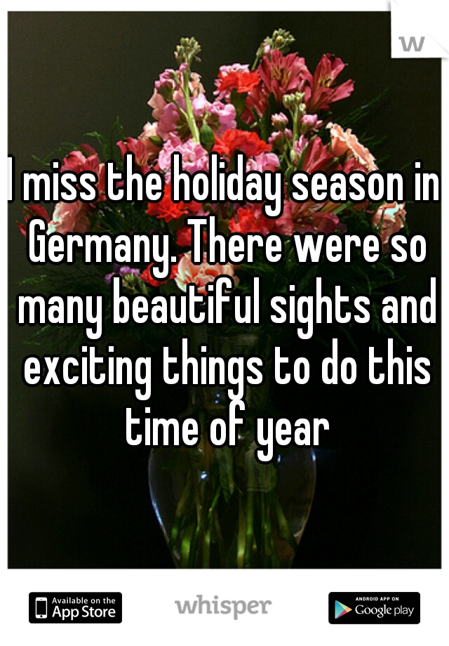 I miss the holiday season in Germany. There were so many beautiful sights and exciting things to do this time of year