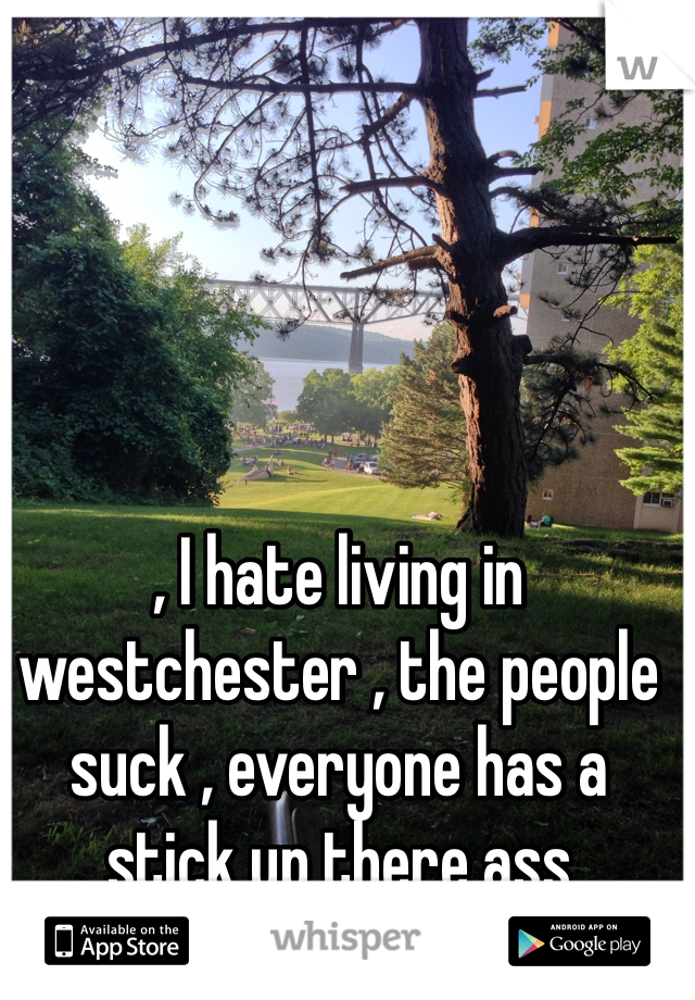 , I hate living in westchester , the people suck , everyone has a stick up there ass