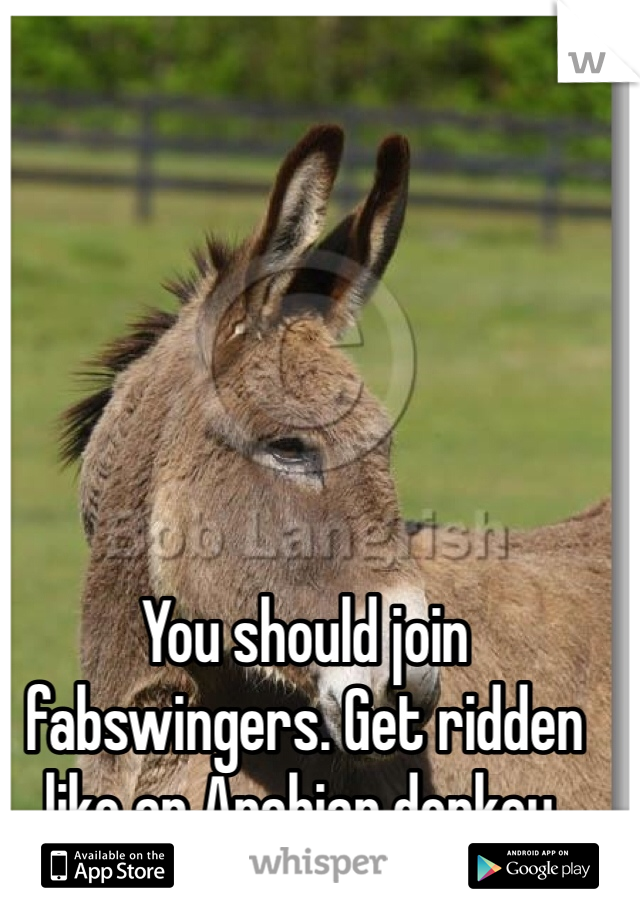 You should join fabswingers. Get ridden like an Arabian donkey. 