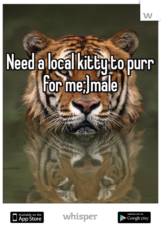 Need a local kitty to purr for me;)male