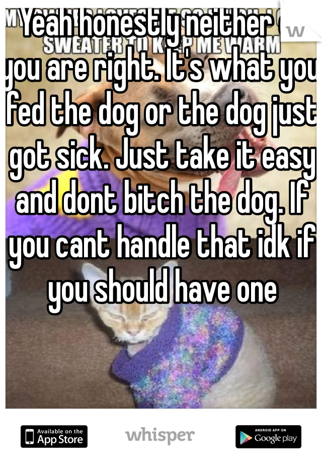 Yeah honestly neither of you are right. It's what you fed the dog or the dog just got sick. Just take it easy and dont bitch the dog. If you cant handle that idk if you should have one