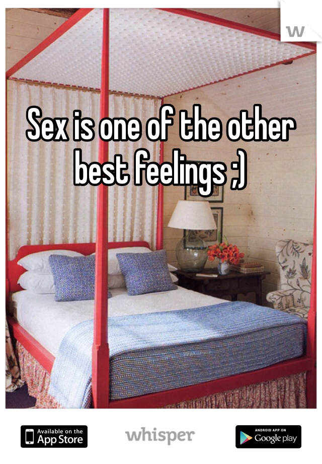Sex is one of the other best feelings ;)