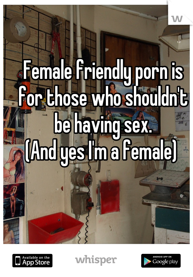 Female friendly porn is for those who shouldn't be having sex. 
(And yes I'm a female) 