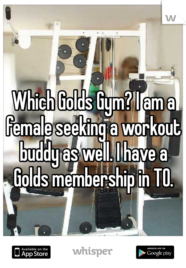 Which Golds Gym? I am a female seeking a workout buddy as well. I have a Golds membership in TO.