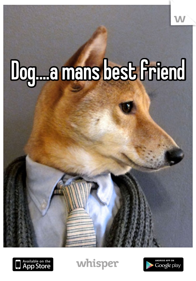 Dog....a mans best friend