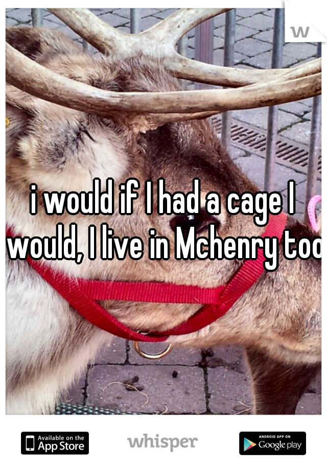 i would if I had a cage I would, I live in Mchenry too