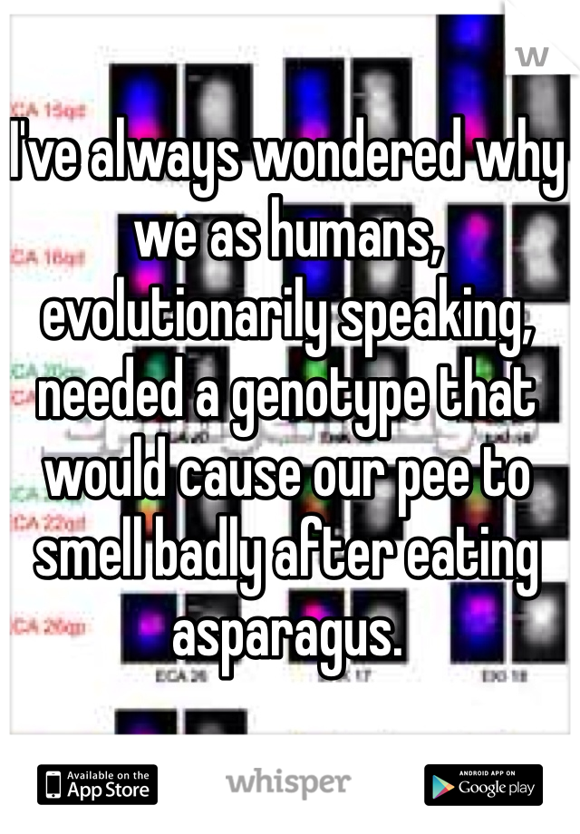 I've always wondered why we as humans, evolutionarily speaking, needed a genotype that would cause our pee to smell badly after eating asparagus. 