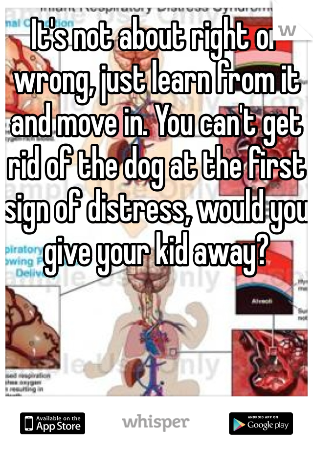 It's not about right or wrong, just learn from it and move in. You can't get rid of the dog at the first sign of distress, would you give your kid away?