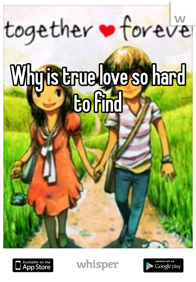 Why is true love so hard to find 