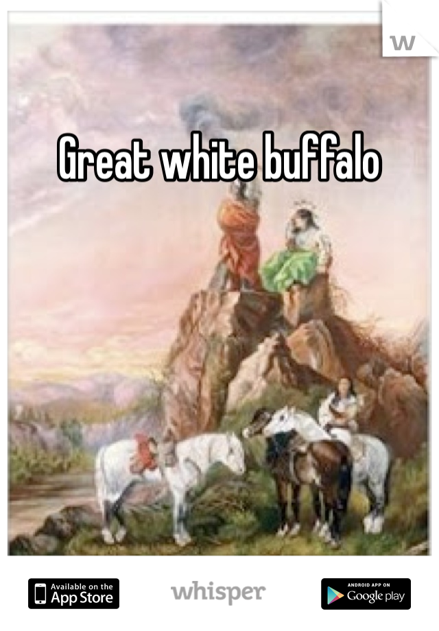 Great white buffalo