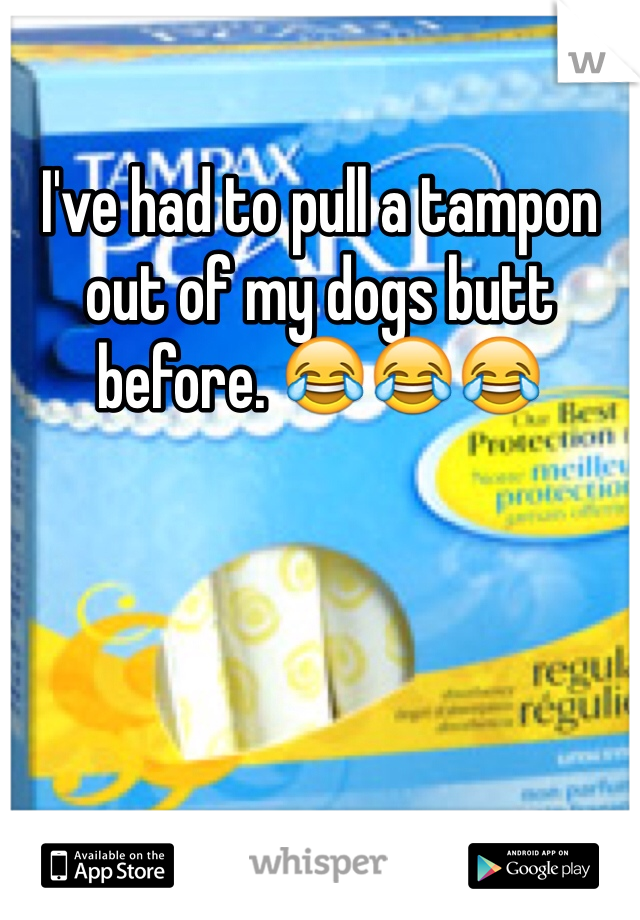I've had to pull a tampon out of my dogs butt before. 😂😂😂