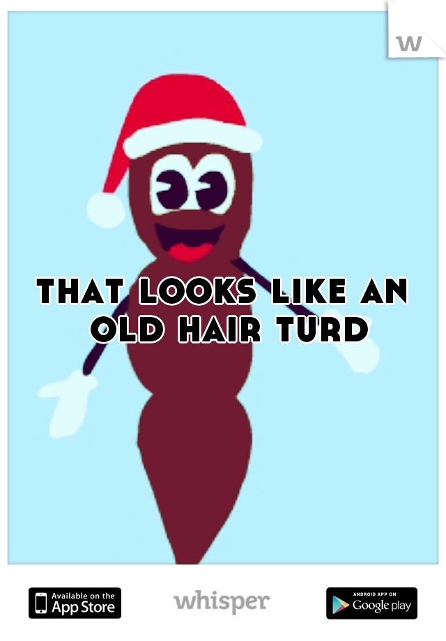 that looks like an old hair turd