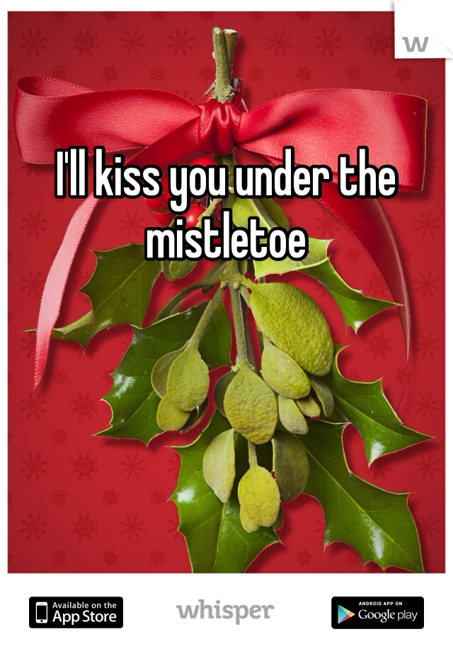 I'll kiss you under the mistletoe 