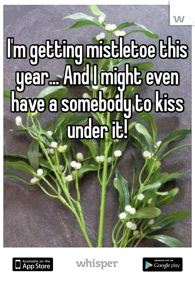 I'm getting mistletoe this year... And I might even have a somebody to kiss under it!