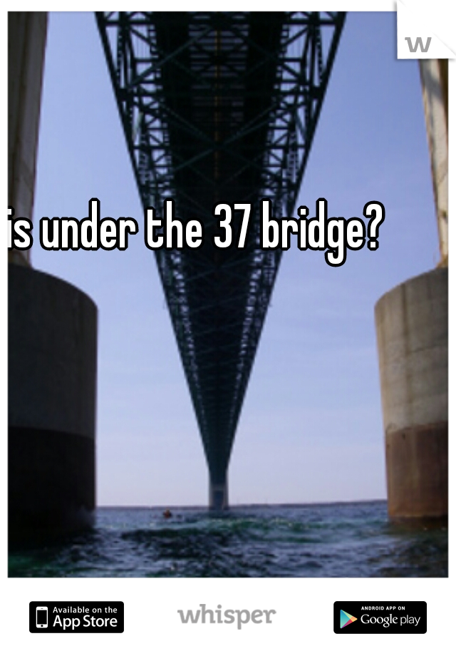 is this under the 37 bridge?