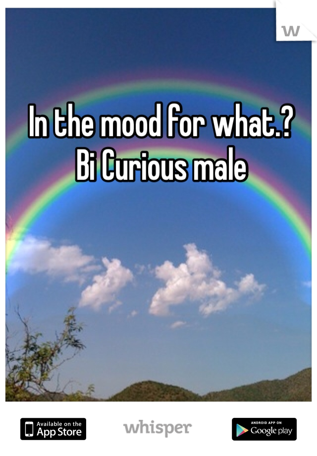 In the mood for what.? 
Bi Curious male


