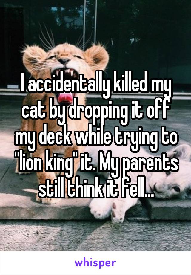 I accidentally killed my cat by dropping it off my deck while trying to "lion king" it. My parents still think it fell...