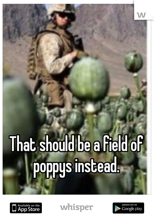 That should be a field of poppys instead. 