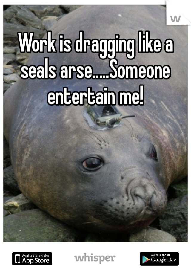Work is dragging like a seals arse.....Someone entertain me!