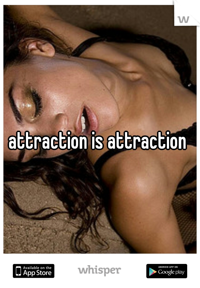 attraction is attraction 