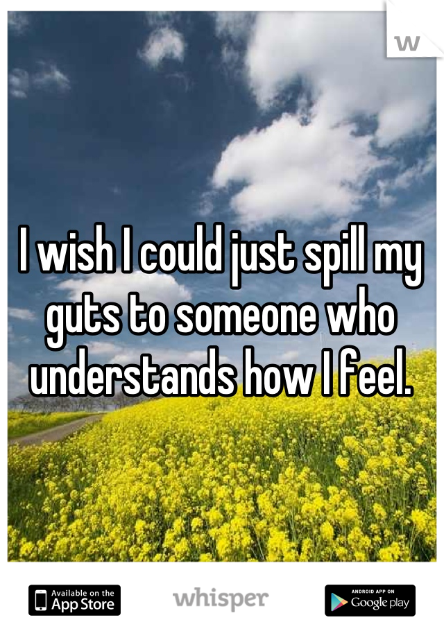 I wish I could just spill my guts to someone who understands how I feel.