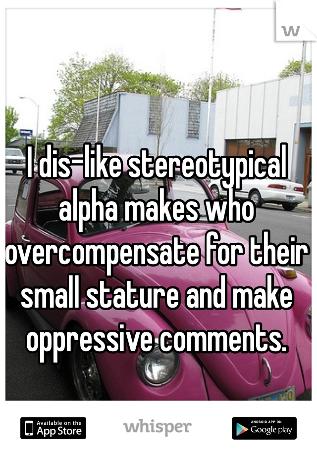 I dis-like stereotypical alpha makes who overcompensate for their small stature and make oppressive comments.