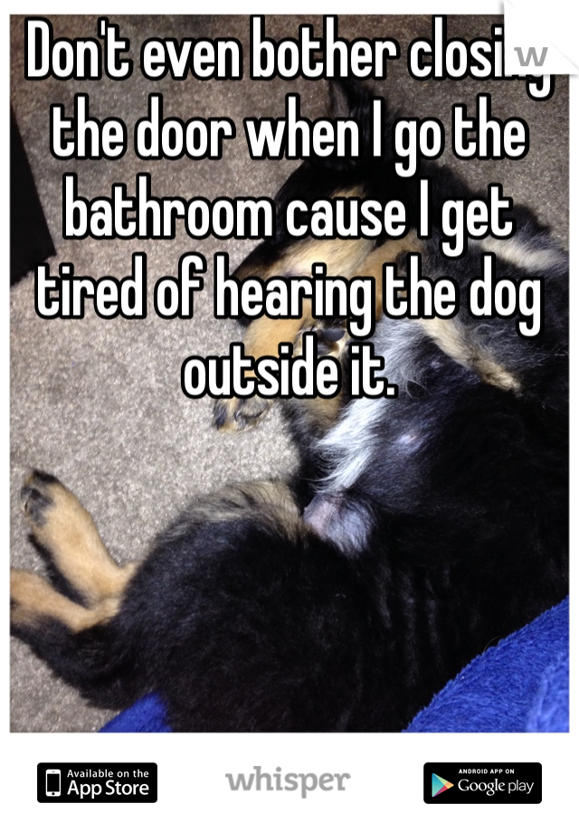 Don't even bother closing the door when I go the bathroom cause I get tired of hearing the dog outside it. 