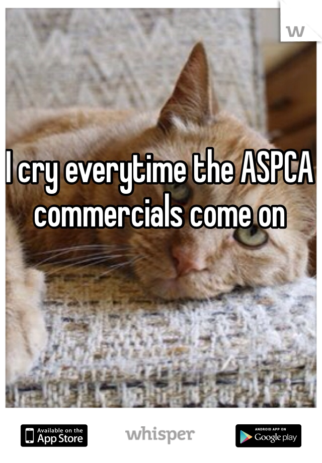 I cry everytime the ASPCA commercials come on