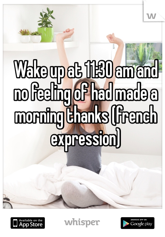 Wake up at 11:30 am and no feeling of had made a morning thanks (french expression)