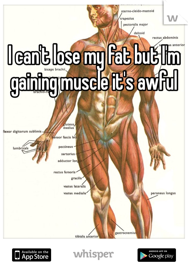 I can't lose my fat but I'm gaining muscle it's awful