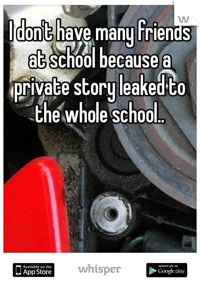 I don't have many friends at school because a private story leaked to the whole school..