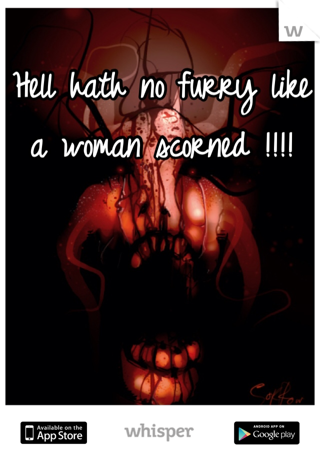 Hell hath no furry like a woman scorned !!!!