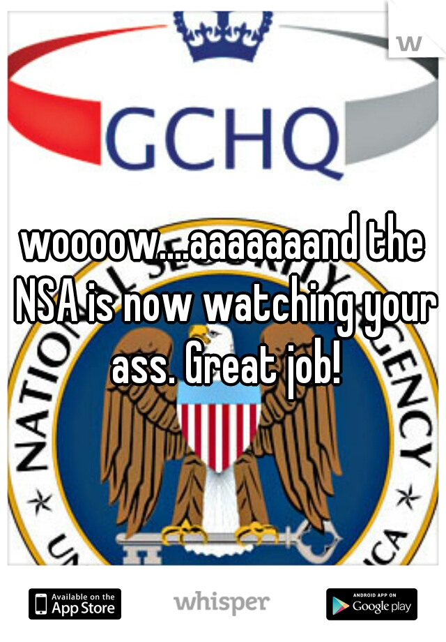 woooow....aaaaaaand the NSA is now watching your ass. Great job!