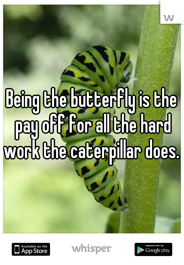 Being the butterfly is the pay off for all the hard work the caterpillar does. 