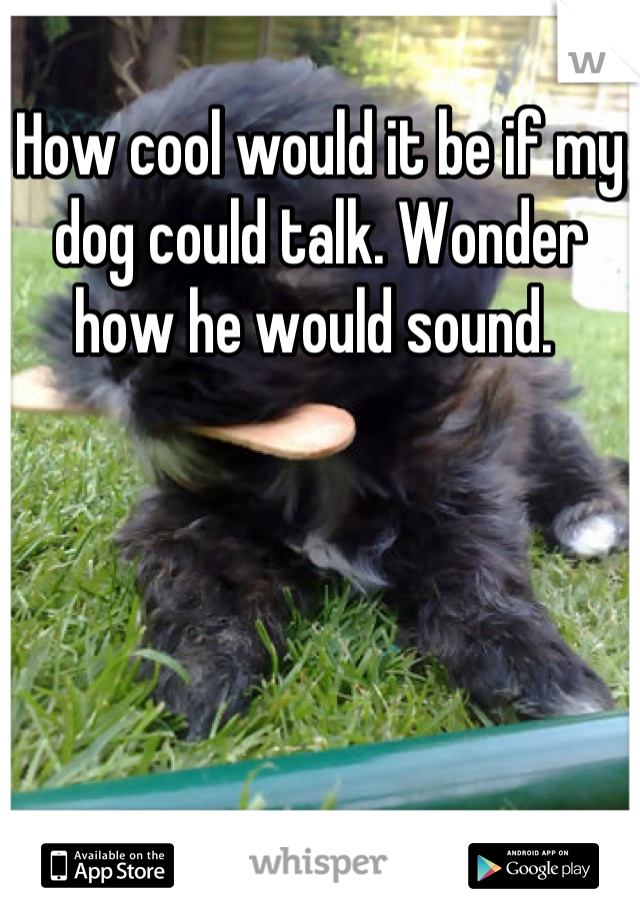 How cool would it be if my dog could talk. Wonder how he would sound. 