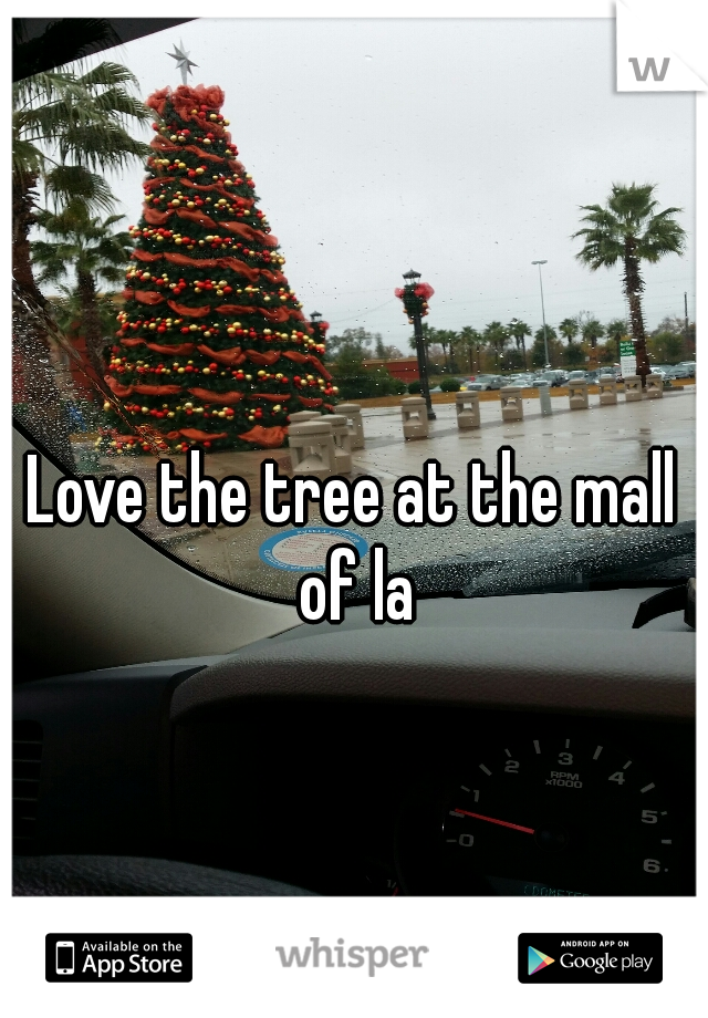 Love the tree at the mall of la