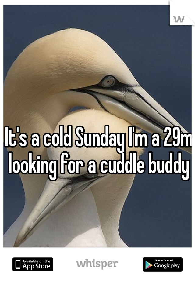 It's a cold Sunday I'm a 29m looking for a cuddle buddy
