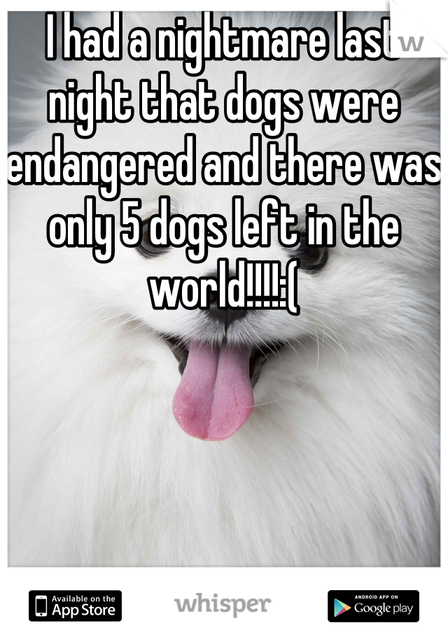 I had a nightmare last night that dogs were endangered and there was only 5 dogs left in the world!!!!:(