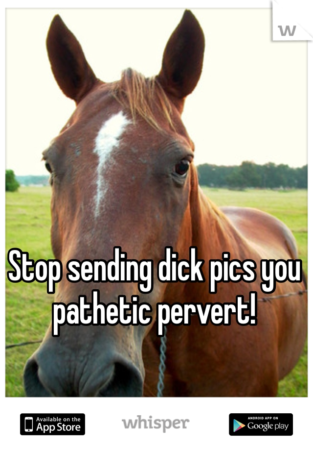 Stop sending dick pics you pathetic pervert! 