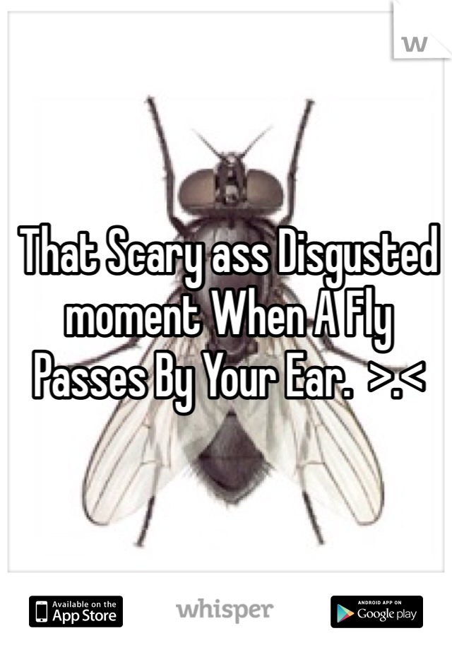 That Scary ass Disgusted moment When A Fly Passes By Your Ear.  >.< 