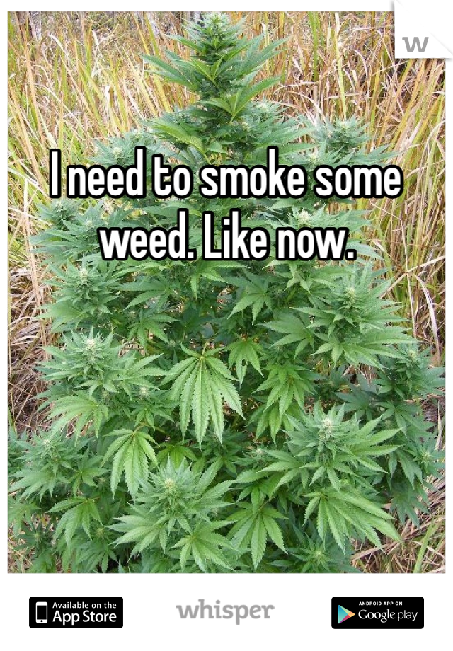I need to smoke some weed. Like now.
