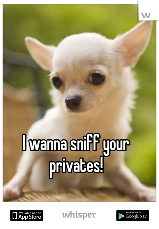 I wanna sniff your privates!
