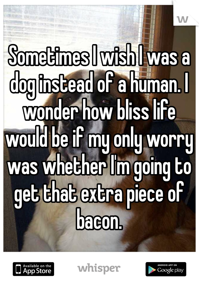 Sometimes I wish I was a dog instead of a human. I wonder how bliss life would be if my only worry was whether I'm going to get that extra piece of bacon. 