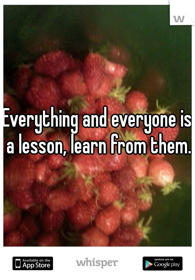 Everything and everyone is a lesson, learn from them.