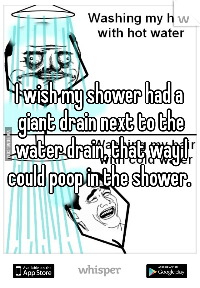 I wish my shower had a giant drain next to the water drain, that way I could poop in the shower. 